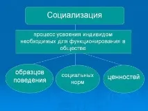 Індивід – поняття, розвиток, соціалізація та поведінка поняття
