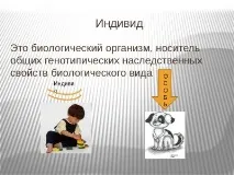 Індивід – поняття, розвиток, соціалізація та поведінка поведінка