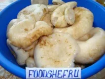 млечни гъби