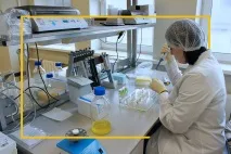 Історія становлення та розвитку біотехнологічного холдингу з річним оборотом понад 650 мільйонів холдингу