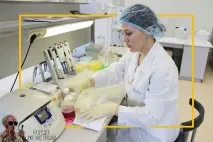Історія становлення та розвитку біотехнологічного холдингу з річним оборотом понад 650 мільйонів історія