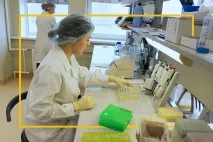 Історія становлення та розвитку біотехнологічного холдингу з річним оборотом понад 650 мільйонів холдингу