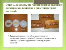 Дослідницька робота – quot; Заглянемо в чашку чаю - quot quot
