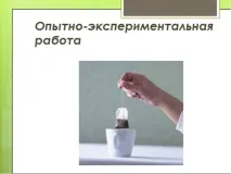 Дослідницька робота – quot; Заглянемо в чашку чаю - quot quot
