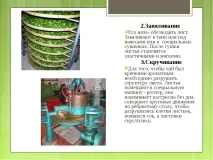 Дослідницька робота – quot; Заглянемо в чашку чаю - quot заглянемо