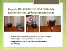 Дослідницька робота – quot; Заглянемо в чашку чаю - quot робота