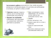 Дослідницька робота – quot; Заглянемо в чашку чаю - quot заглянемо