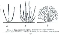 добрий