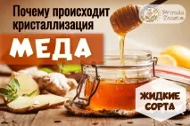 описание захаросва