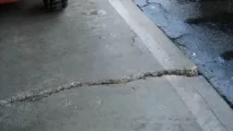 изберете трайни