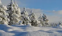 сняг правилно