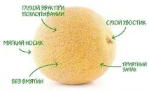 наргиле