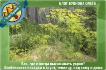 треба