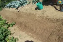 правильно