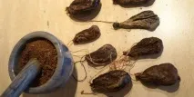 дома боброва