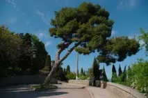 Як я їздив відпочивати в Алушту алушту