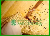 Як витравити клопів із квартири безпечно та ефективно витравити