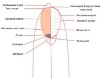 Як зміцнити нігті вдома, масло і засоби від нігтів, що шаруються. вдома