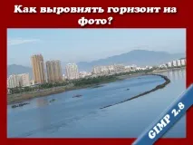 подравните хоризонта млечни гъби