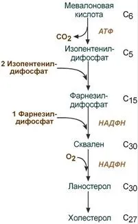 трябва синтезът