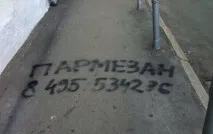 пристрастяване сиренето