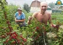 диета храна