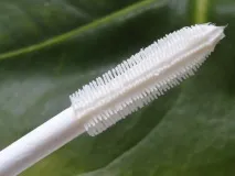 lash