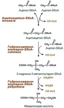 съответства синтезът