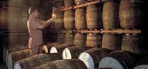 Скільки градусів у ромі ромі