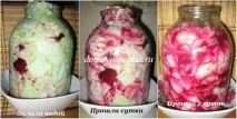 Капуста лепесток рецепт без оцту та з фотографіями, Народні знання від Кравченка Анатолія фотографіями