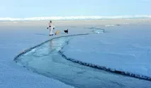кога отидете