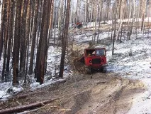 кедър кедър