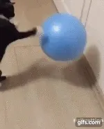когато имате