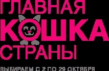 състезание дача