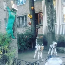 коли