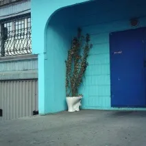 дизайнер