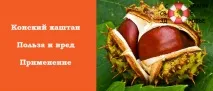 конски свойства