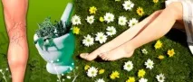 Кінський каштан – рослина для лікування варикозу каштан
