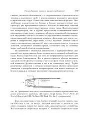 голяма летящ