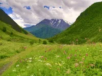Вечеря самостоятелно ресторанта Закуска хотела