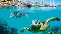 моря
