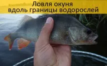 костур костур