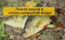 въртяща костур