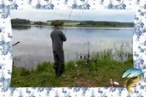 Лов коропа в червні риба