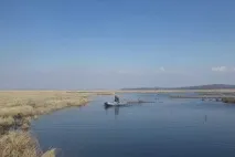 Лов змієголов на озері Ханка ханка