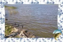 Лов коропа в червні червні