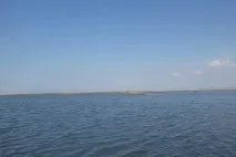 Лов змієголов на озері Ханка змієголов