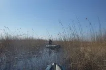 Лов змієголов на озері Ханка ханка