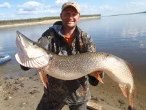трофейна щука сибир