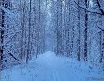 Групово оборудване Това доказва